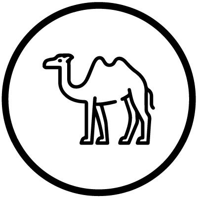 Camel Wool